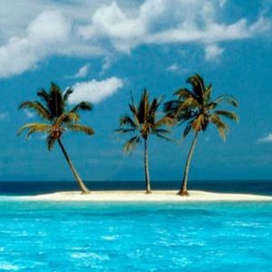 Meet your Posher, Dena